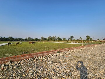 Plot Area in  Plot at Miyawala – for Sale