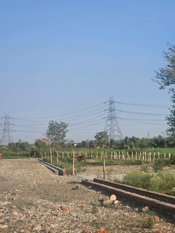 Plot Area in  Plot at Miyawala – for Sale