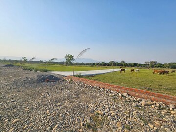 Plot Area in  Plot at Miyawala – for Sale