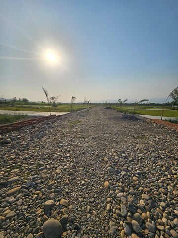 Plot Area in  Plot at Miyawala – for Sale