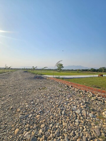 Plot Area in  Plot at Miyawala – for Sale