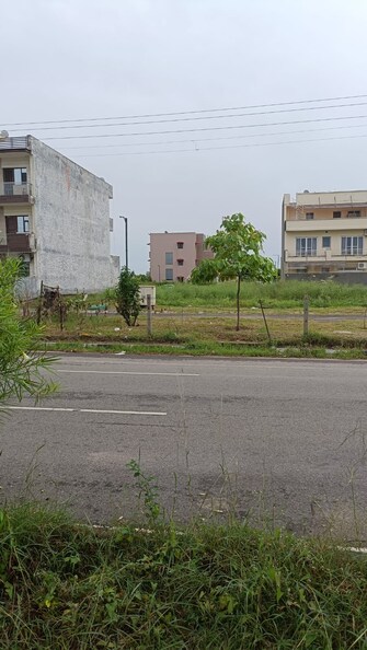 Plot For Resale in Central Mohali Chandigarh  7674982