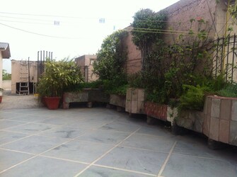 4 BHK Builder Floor For Rent in Panchsheel Park Delhi  7675261