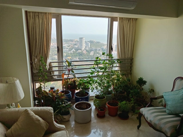 2 BHK Apartment For Rent in Andheri West Mumbai  7675591