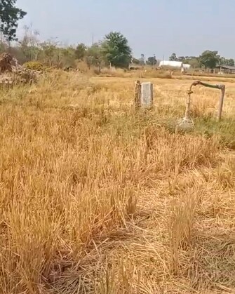 Commercial Land 2 Acre For Resale in Narketpally Nalgonda  7676220