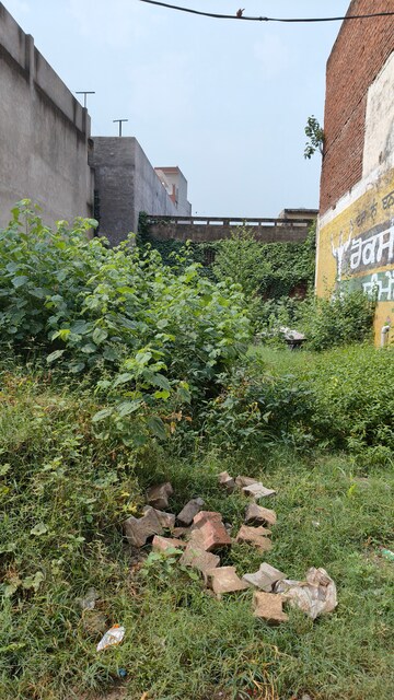  Plot For Sale in Ambala Highway