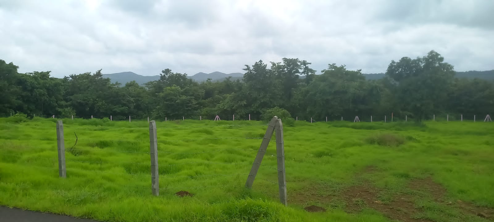 Plot For Resale in Mangaon Raigad  7676923