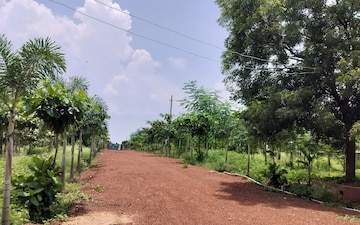 Plot For Sale in Vikarabad