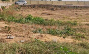 Plot Area in  Plot at Pal Greens, Sector 78 – for Sale