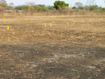 Plot Area in  Plot at Samarth Nagar East – for Sale