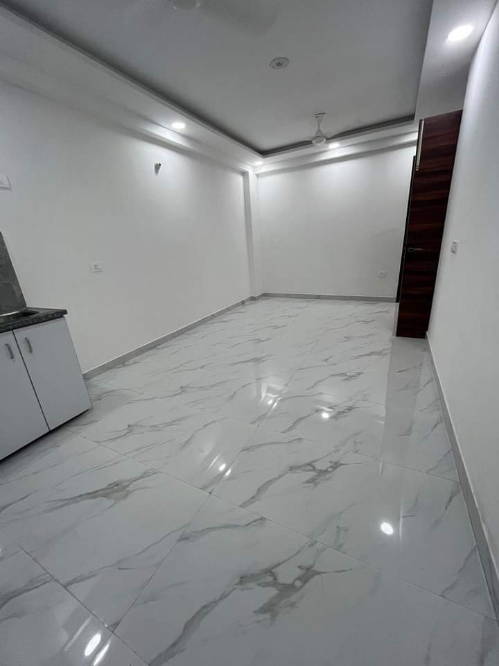 2 BHK Apartment For Rent in Saket Delhi  7678251