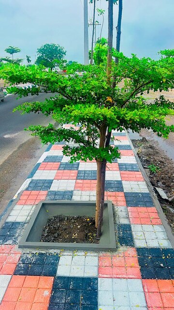  Plot – Exterior View View at Rudraram - for Sale