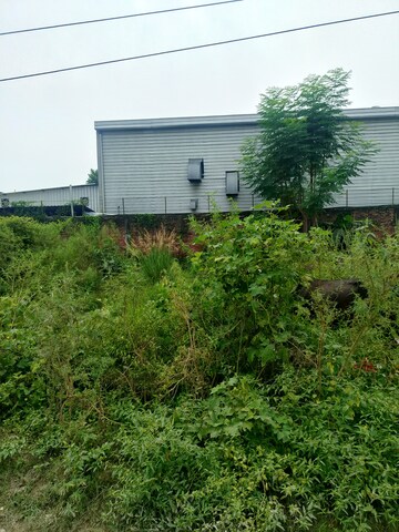  Plot For Sale in Tiwaripur