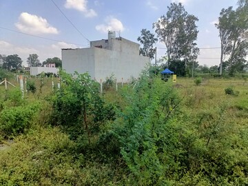  Plot For Sale in Ujjain Road