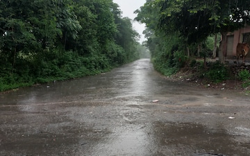 Plot For Sale in Barnala Road
