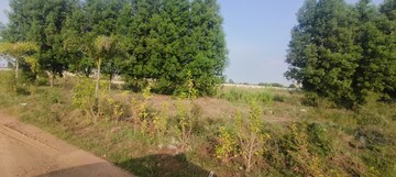 Plot Area in  Plot at Boriyakhurd – for Sale