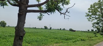 Commercial Land 15 Acre For Resale in Kamla Nagar Rohtak  7680017