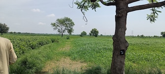 Commercial Land 15 Acre For Resale in Kamla Nagar Rohtak  7680017