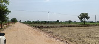 Commercial Land 15 Acre For Resale in Kamla Nagar Rohtak  7680017