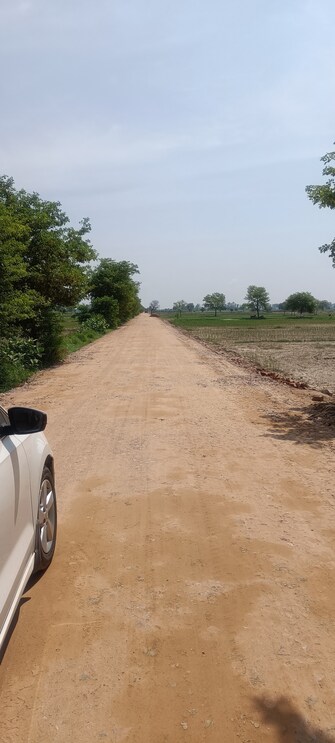 Commercial Land 15 Acre For Resale in Kamla Nagar Rohtak  7680017