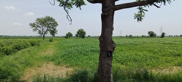  Land – Exterior View View at Kamla Nagar - for Sale