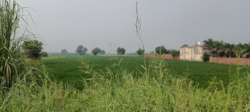 Commercial Land 50 Acre For Resale in Rajender Nagar Rohtak  7680033