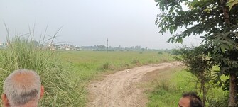 Commercial Land 50 Acre For Resale in Rajender Nagar Rohtak  7680033