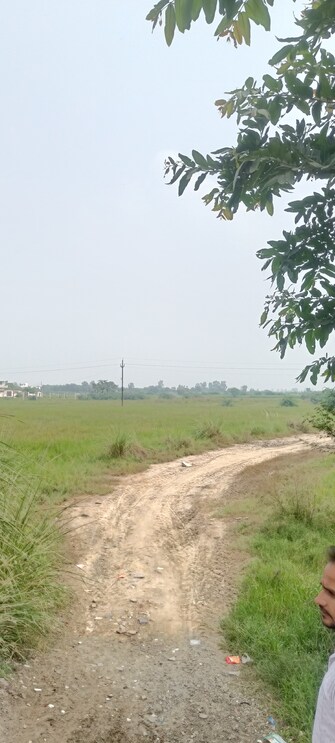 Commercial Land 50 Acre For Resale in Rajender Nagar Rohtak  7680033