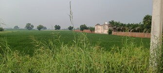 Commercial Land 50 Acre For Resale in Rajender Nagar Rohtak  7680033