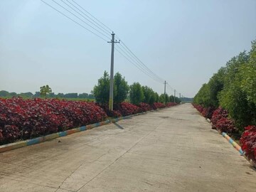  Plot – Exterior View View at Jonnada - for Sale