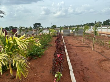 Plot Area in  Plot at Sri Bhumi Eeshaanya, Kankipadu – for Sale