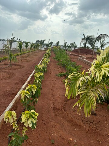  Plot – Exterior View View at Sri Bhumi Eeshaanya, Kankipadu - for Sale