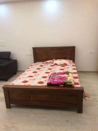 Studio Apartment For Rent in DLF City Gurgaon Sector 27 Gurgaon  7681097