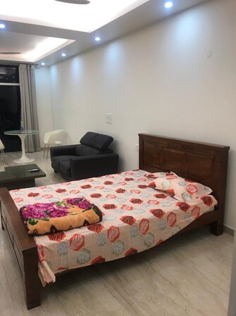 Studio Apartment For Rent in DLF City Gurgaon Sector 27 Gurgaon  7681097