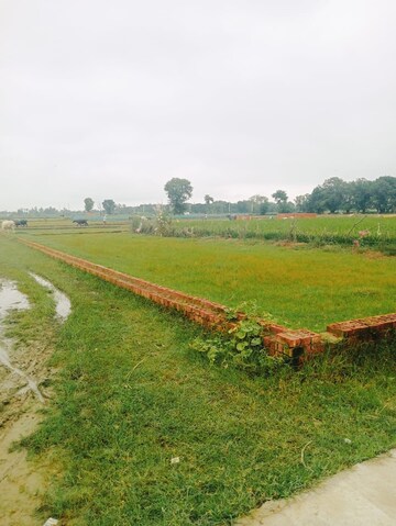 Plot Area in  Plot at Deva Road – for Sale