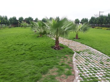  Plot – Garden View at Sejbahar - for Sale