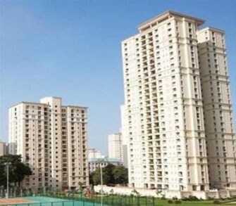 1 BHK Apartment For Rent in Hiranandani Estate Penrose Ghodbunder Road Thane  7681678