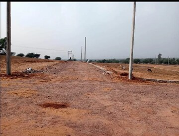 Plot Area in  Plot at Sector 87 – for Sale