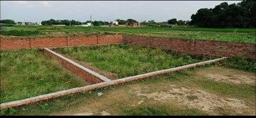 Plot Area in  Plot at Sector 87 – for Sale