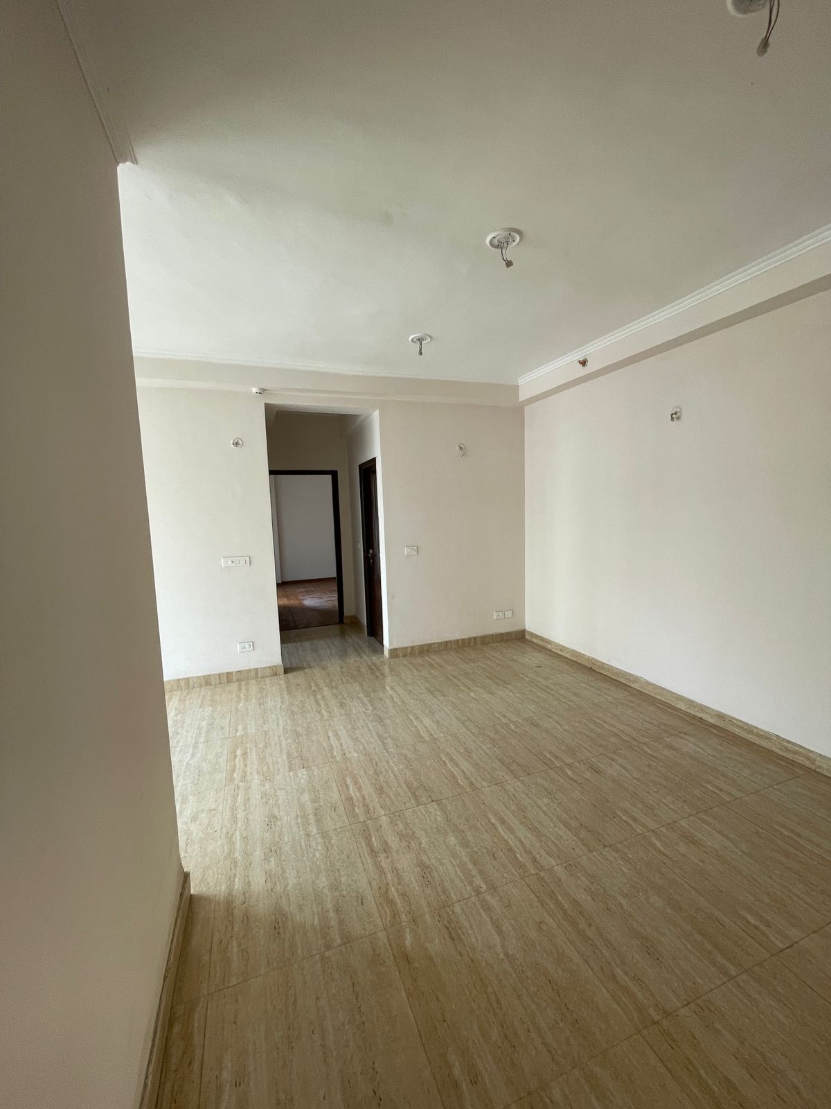 3 BHK Apartment For Resale in Newtech La Palacia Noida Ext Tech Zone 4 Greater Noida  7682176