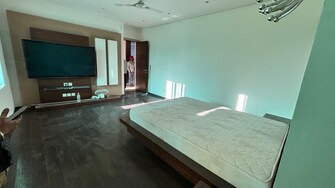 4 BHK Builder Floor For Rent in Vasant Vihar Delhi  7682227