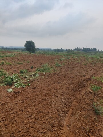 Plot For Sale in Dalelpura