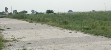 Plot Area in  Plot at Tappal – for Sale