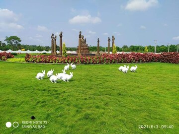 रेसिडेंशियल प्लॉट वर्ग यार्ड फॉर रीसेल इन बाबामेट्टा विजयनगरम  7682749