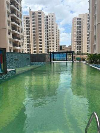 2 BHK Apartment For Rent in Prestige Primrose Hills Banashankari 6th Stage Bangalore  7682892