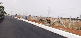 Plot For Resale in Mucherla Hyderabad  7682931