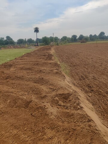  Plot For Sale in Dalelpura