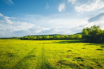  Land For Sale in Sector 82