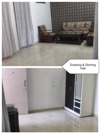 3 BHK Apartment For Rent in Green Valley Heights Dhakoli Village Zirakpur  7684501