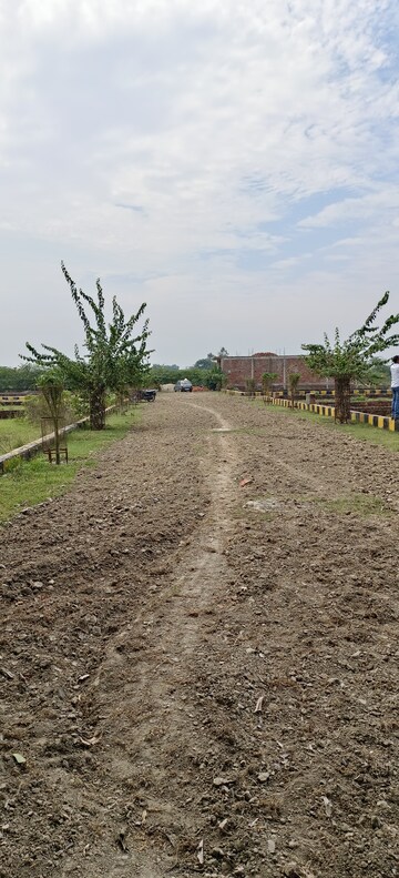Plot Area in  Plot at Khujauli – for Sale